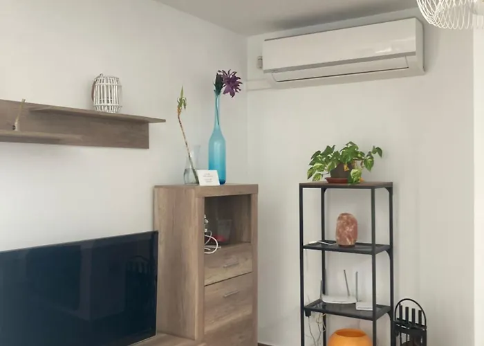 Osca Relax Conil Holiday home *